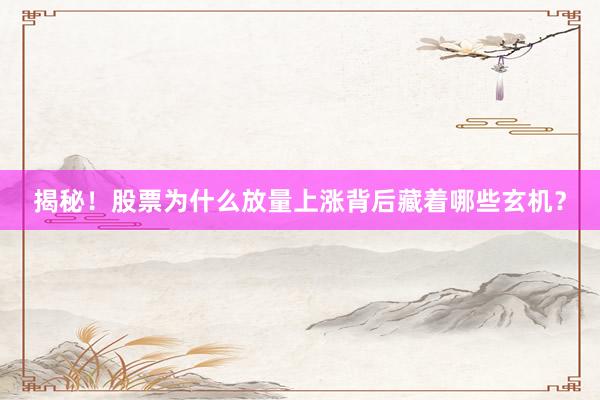 揭秘！股票为什么放量上涨背后藏着哪些玄机？