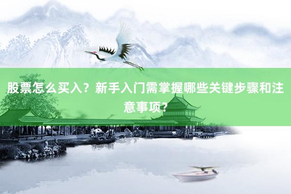 股票怎么买入？新手入门需掌握哪些关键步骤和注意事项？