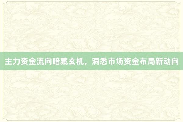 主力资金流向暗藏玄机，洞悉市场资金布局新动向