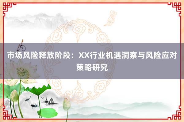 市场风险释放阶段：XX行业机遇洞察与风险应对策略研究