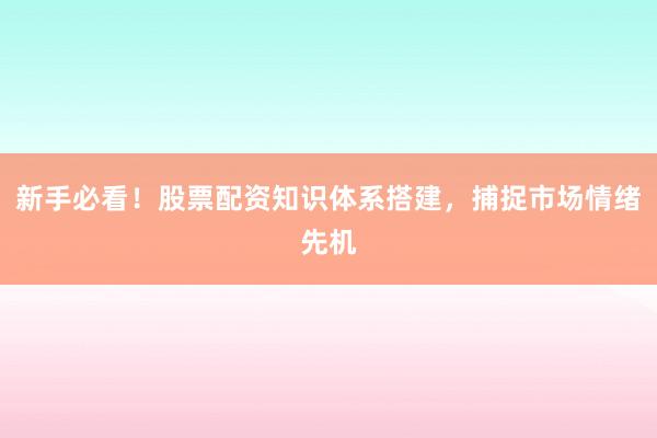 新手必看！股票配资知识体系搭建，捕捉市场情绪先机
